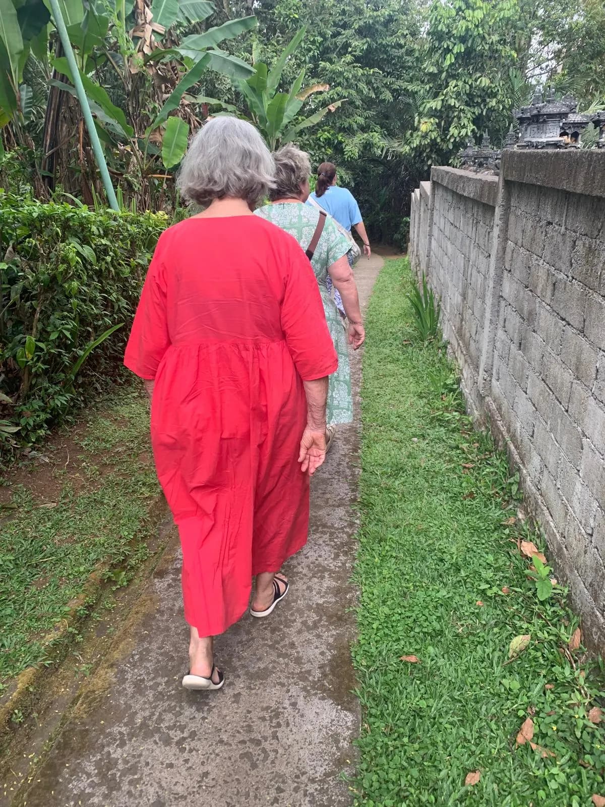 Walking single file down a narrow lane between a banana garden and a stone wall