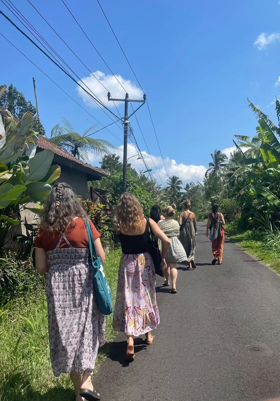 A sunny village road lined with banana plants and tiled roofs