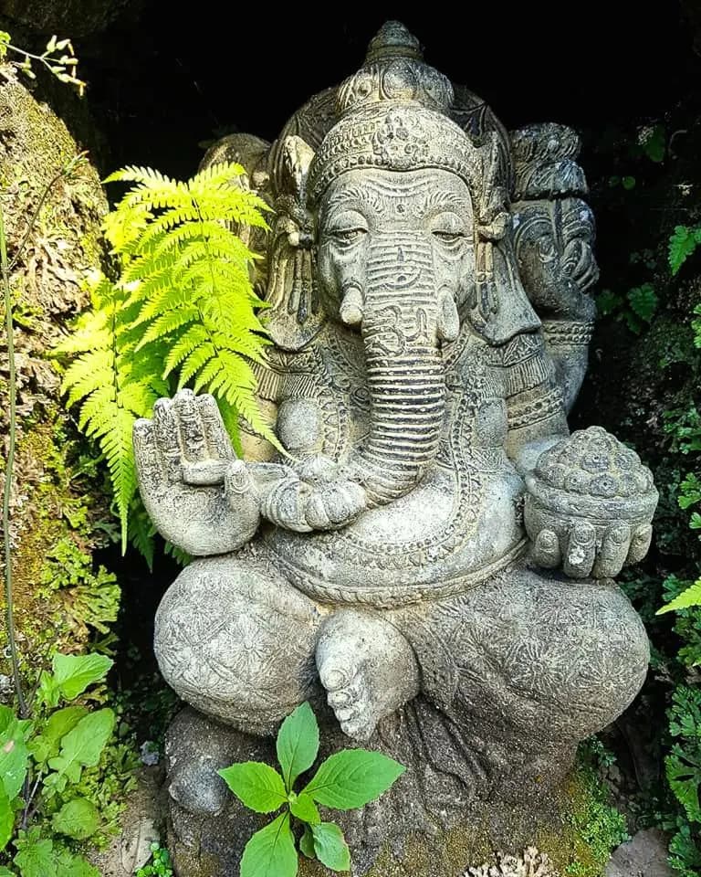 A carved stone Ganesha framed by ferns